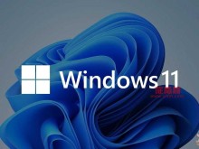 微软Windows 11更新又出问题？ SSD速度恐砍半 开机变超慢！