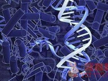 生物DNA调控生长出金纳米花：或创造具有先进功能纳米材料