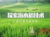 袁隆平：探索海水稻技术，让昔日滩涂变良田