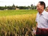 袁隆平：三年内让海水杂交稻亩产突破300公斤