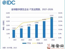 国际数据公司IDC：预计全球数字原生企业的技术支出在2026年超过5000亿美元！
