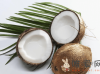 椰子肉能直接生吃吗？椰子肉的功效与作用是什么？
