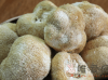 猴头菇怎么做好吃？猴头菇5种最好吃的做法分享！