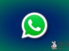 WhatsApp推出新功能：Android测试版支持在群聊中安排通话！