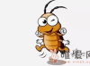 家里的蟑螂是从哪里来的？怎么消灭蟑螂？