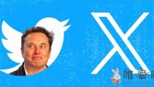 马斯克将推特改名为X遭冷遇：大多数品牌仍未更新其网站！