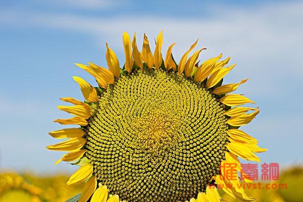 夏天来了的文案说说短句 夏天来了的优美句子朋友圈说说get