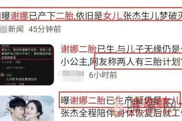 谢娜二胎生了吗二胎男孩女孩 谢娜为什么退出快乐大本营是真的吗