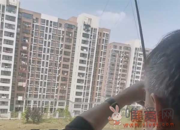 上海大爷在江景房阳台钓到8斤大鱼,网友直言这房买值了！
