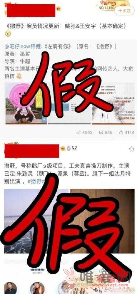 朱致灵年龄多少岁了，他是怎么被徐静蕾选中的？