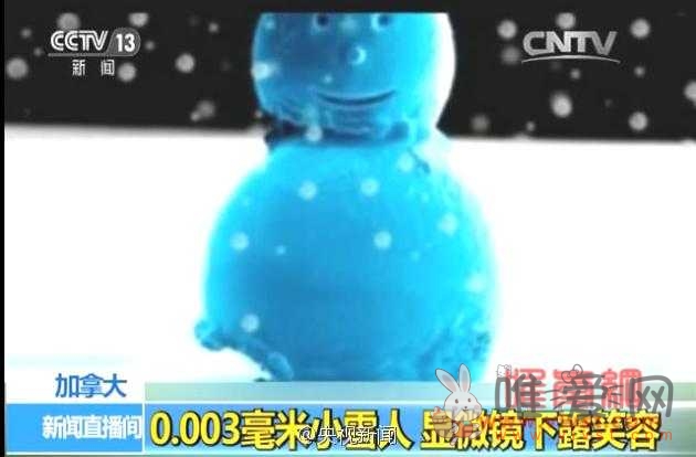 3微米史上最小雪人:显微镜下露出蜜汁笑容