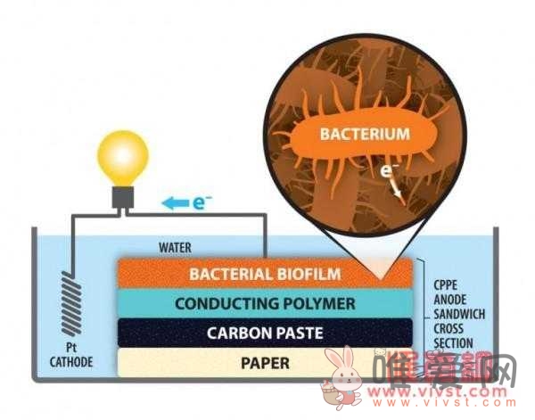 用纸做成的电极让微生物燃料电池更廉价高效