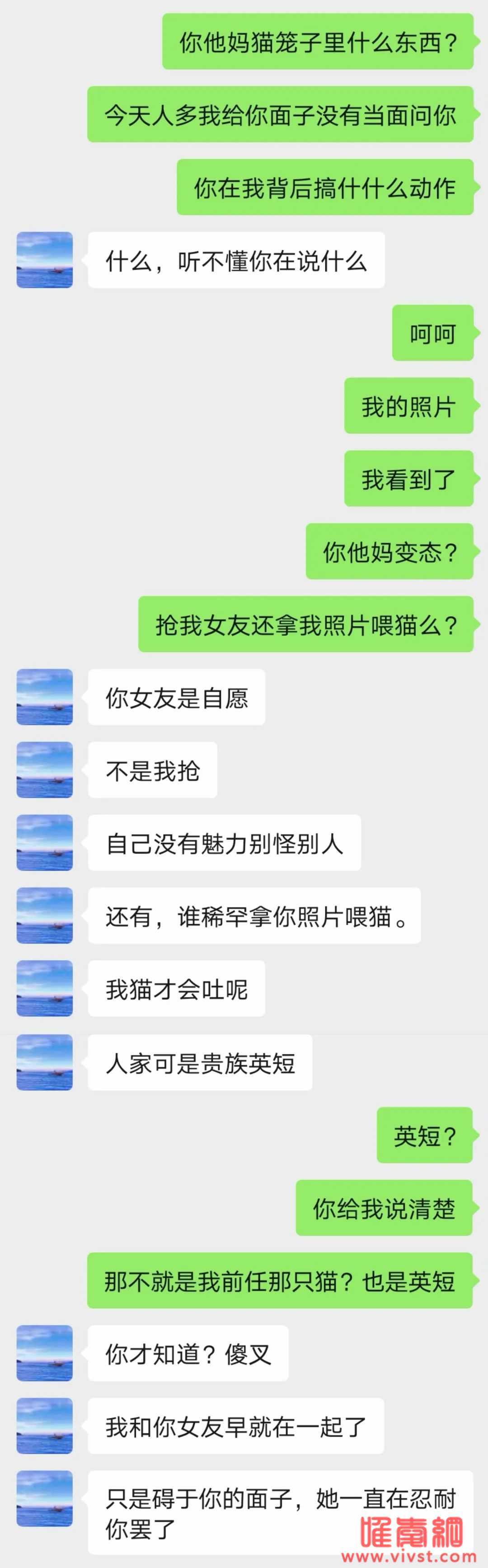 反差前任有多恐怖?因为一只猫才发现女友处心积虑只为绿自己!