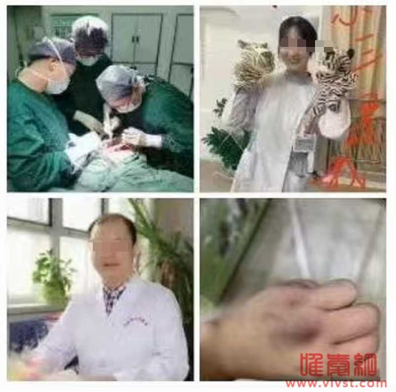 胸外科医生婚内出轨消化科护士,小三毫无廉耻!