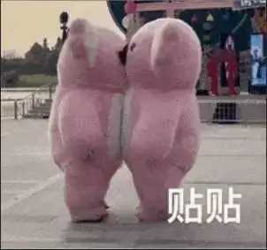 日语贴贴是什么意思？网络用语贴贴这个词是怎么来？