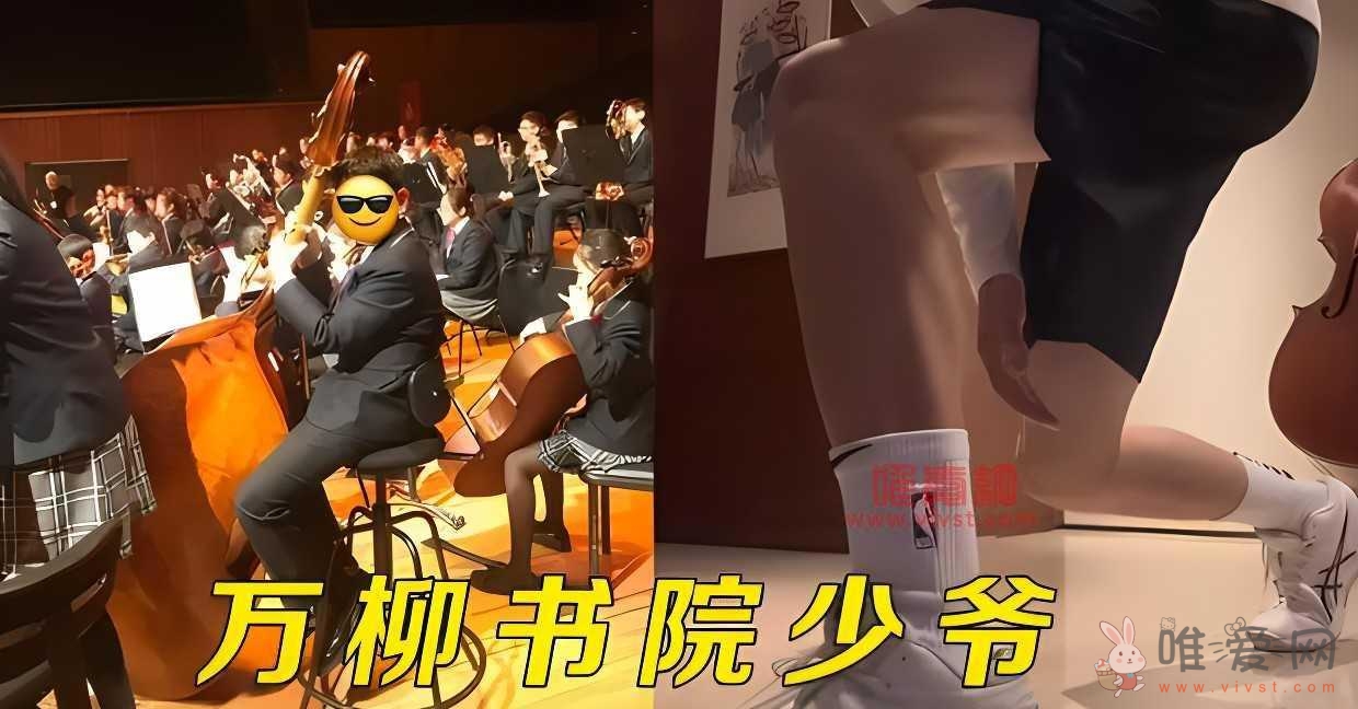 抖音万柳书院少爷是什么梗？万柳书院少爷是什么意思？