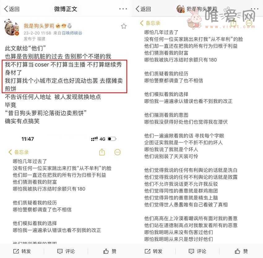 女网红狗头萝莉被质疑身世真实性，发文退网不秀身材了摆摊卖煎饼