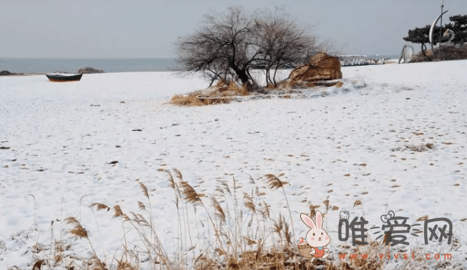 形成雪地原理！冬天的雪是怎么形成的?