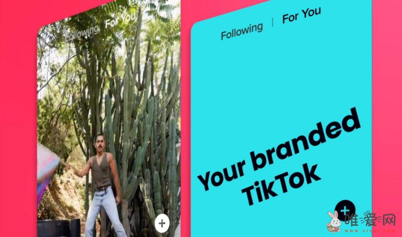 TikTok推出Pulse Premiere广告功能？为创作者提供50%的收入分成！