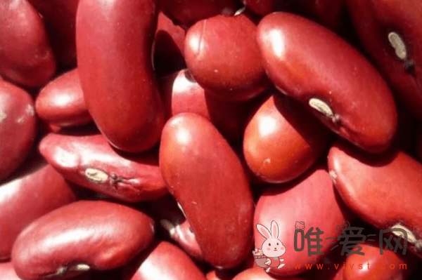 红腰豆的功效与作用是什么？选购红腰豆的方法和食用禁忌！