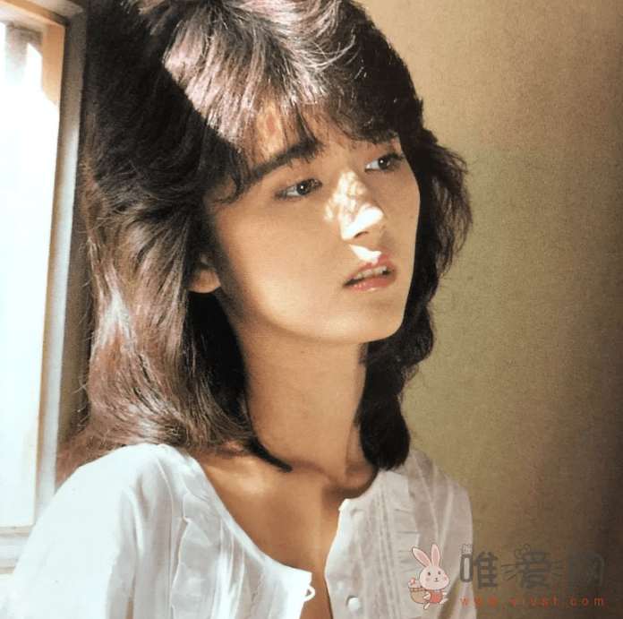 日本成人影像业历史纪年表——『1981-1985』