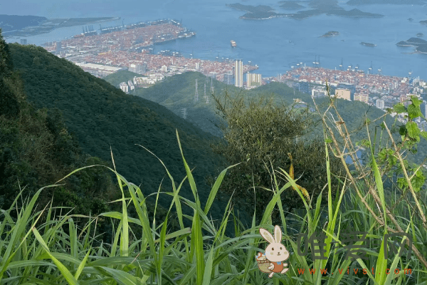 深圳梧桐山好玩吗？深圳梧桐山旅游攻略！