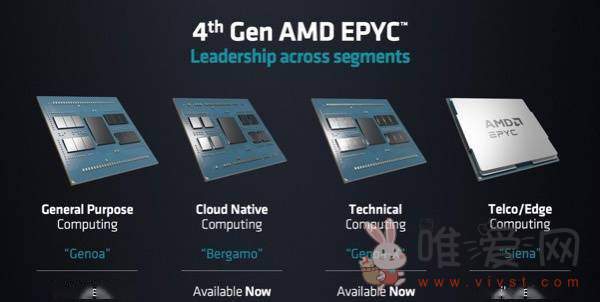 AMD推出EPYC处理器Bergamo：可满足“高性能的云端需求”！