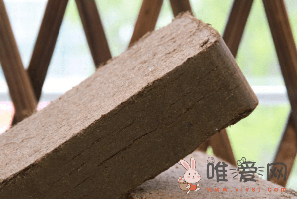 如何正确使用椰糠砖？椰糠砖的详细使用方法分享！